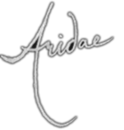Aridae Arts, formerly Hyperfixations